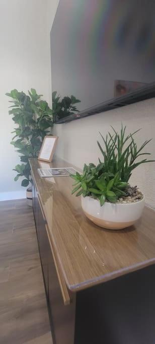 Alluring Luxury Oasis, Modern Comfort & Relaxation Wellington Ngoại thất bức ảnh